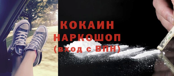 индика Балабаново