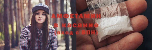 индика Балабаново