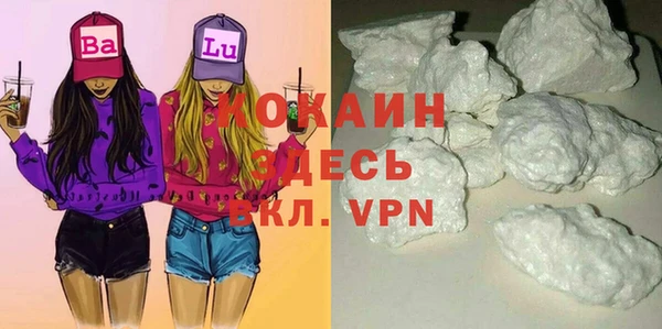 индика Балабаново