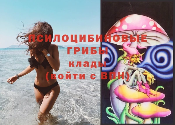 индика Балабаново