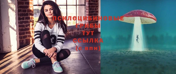 индика Балабаново